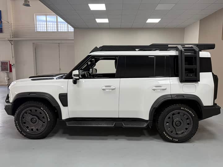 Jetour T2 2024 2024款 2.0T 四驱银龙之翼