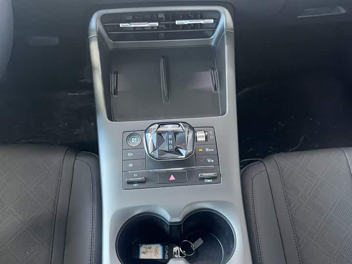 BYD Qin Plus 2025 2025款 DM-i 智驾版 55KM领先型