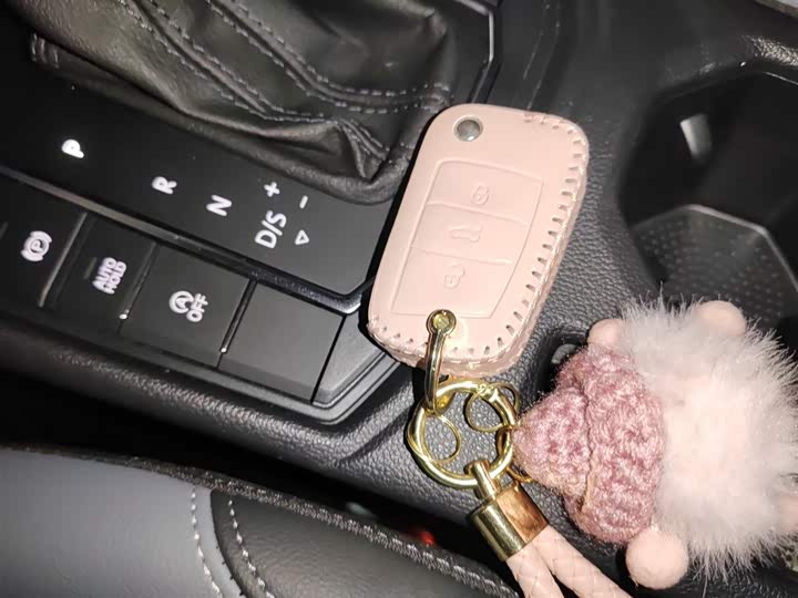 Volkswagen Lavida 2024 2024款 1.5L 自动星空五百万版