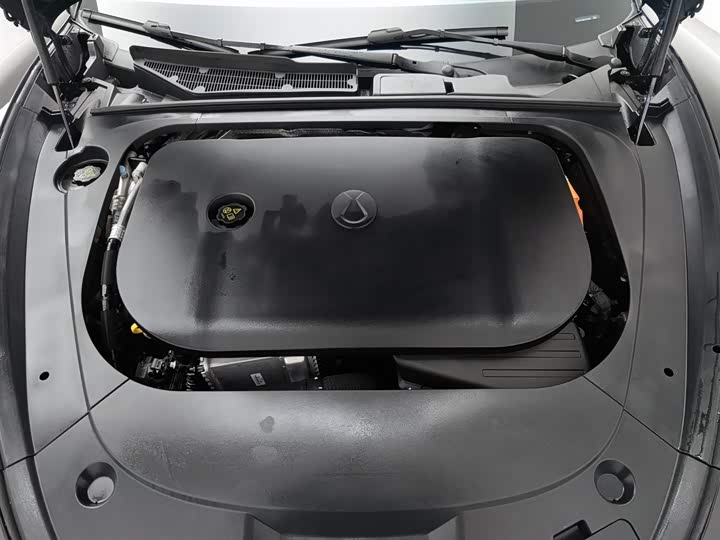 Denza Z9 2024 2024款 1100km 四驱Ultra版