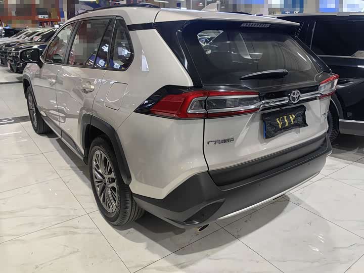 Toyota Wildlander 2024 2024款 2.0L CVT四驱豪华PLUS版