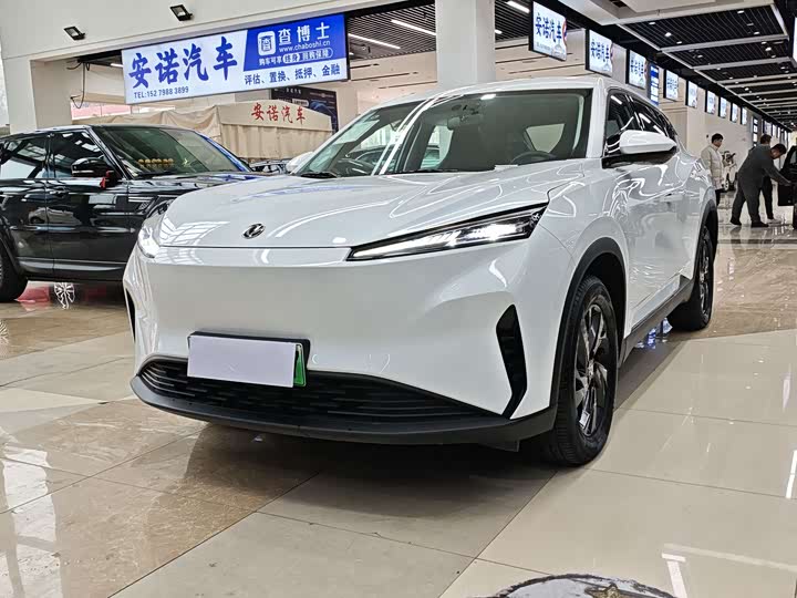 Dongfeng Aeolus Sky EV01 2024 2024款 530km PRO