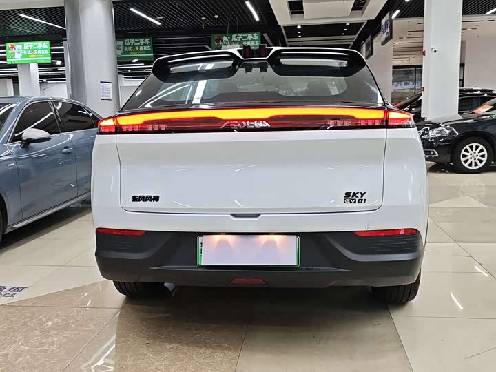 Dongfeng Aeolus Sky EV01 2024 2024款 530km PRO