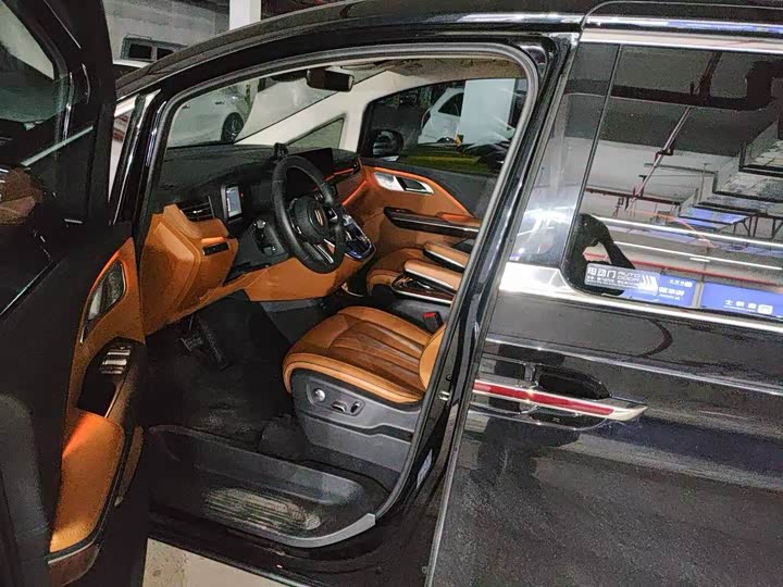 Hongqi HQ9 2023 2023款 2.0T 智联旗畅版