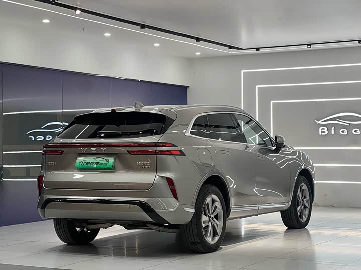 Wey Mocca Hybrid 2024 2024款 Hi4 四驱长续航版