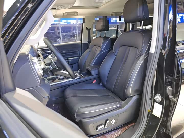 Tank 300 2024 2024款 2.0T 征服者