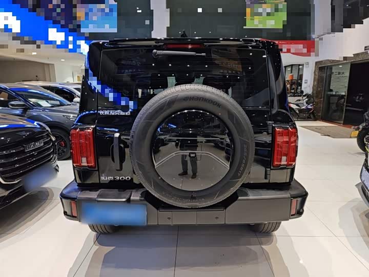 Tank 300 2024 2024款 2.0T 征服者