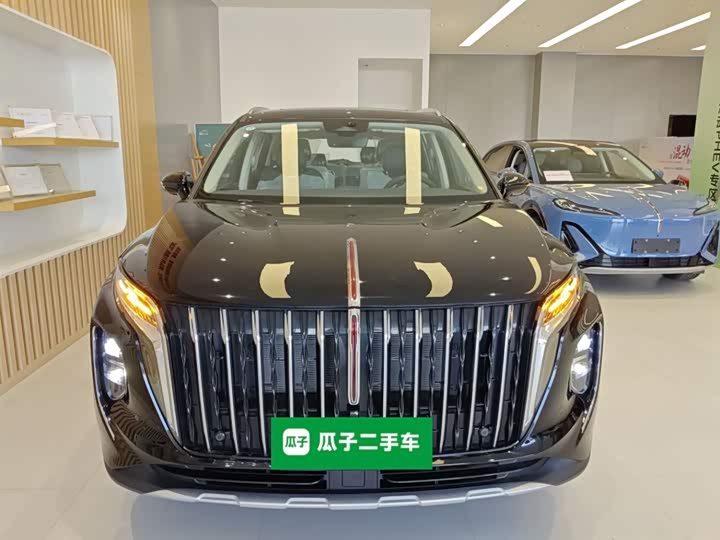 Hongqi HS7 Hybrid 2024 2024款 2.0T PHEV 两驱旗享版 6座