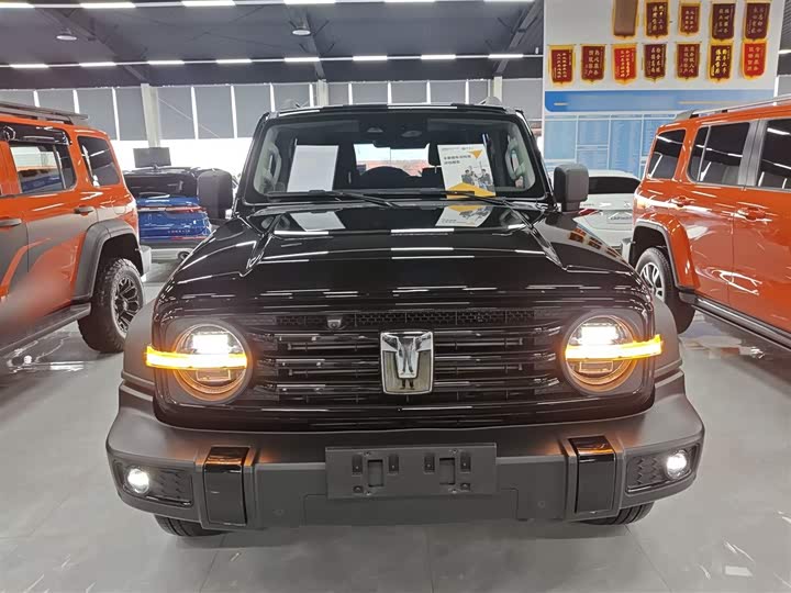 Tank 300 2024 2024款 2.0T 征服者