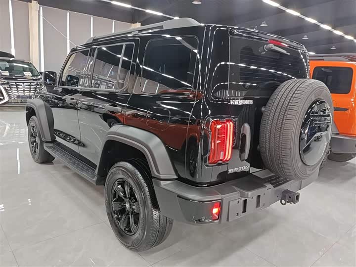 Tank 300 2024 2024款 2.0T 征服者