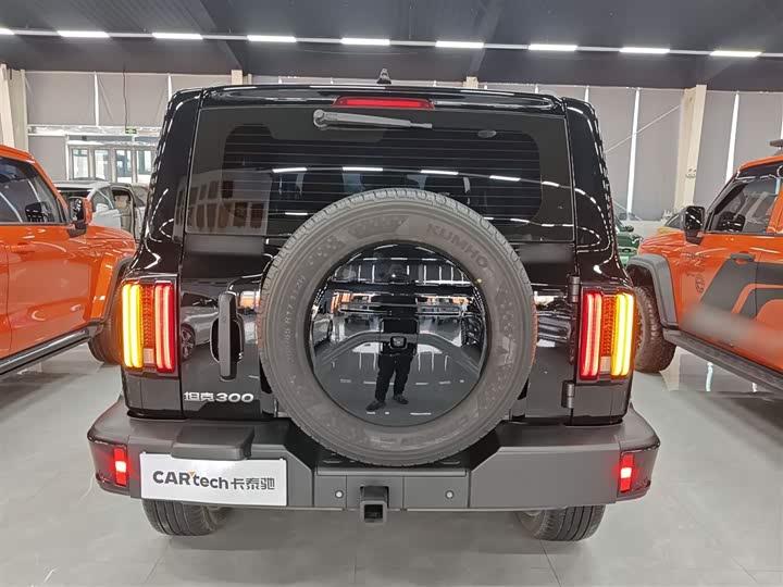 Tank 300 2024 2024款 2.0T 征服者