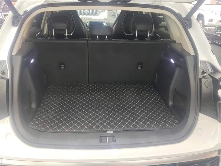 Hongqi HS3 Hybrid 2024 2024款 115km 劲为版