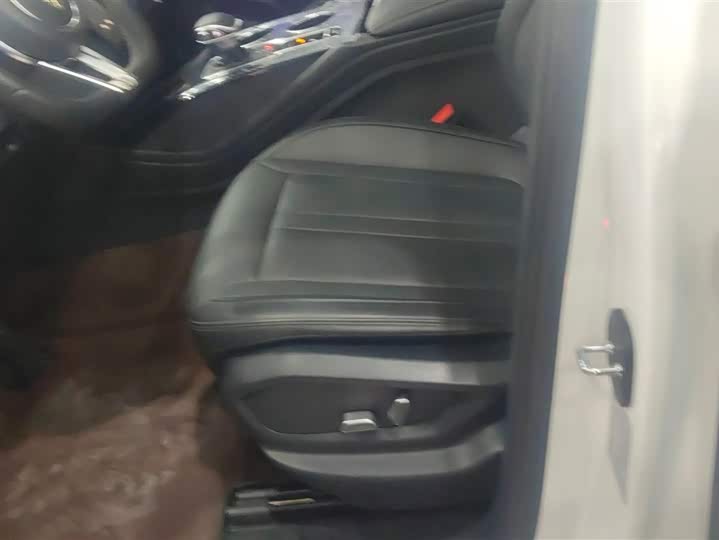 Hongqi HS3 Hybrid 2024 2024款 115km 劲为版