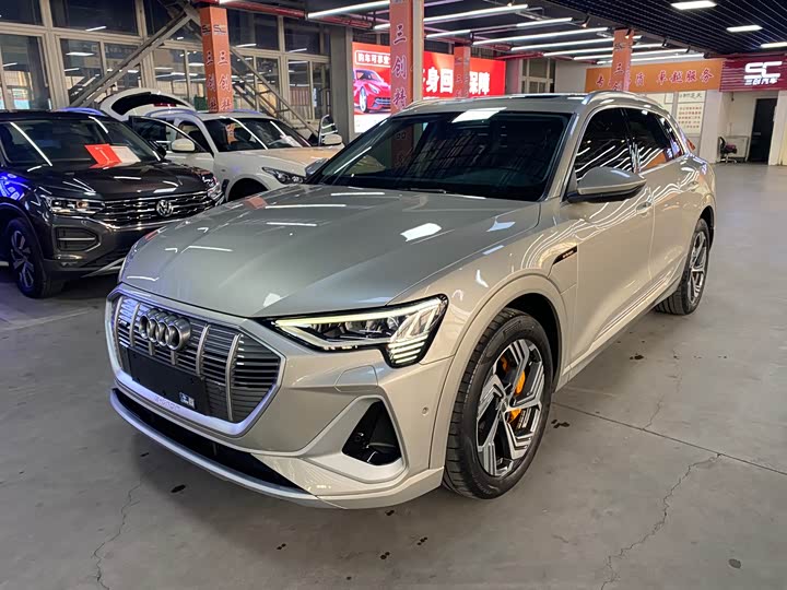 Audi e-tron 2021 2021款 50 quattro 臻选型
