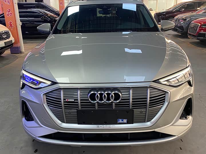 Audi e-tron 2021 2021款 50 quattro 臻选型