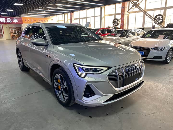 Audi e-tron 2021 2021款 50 quattro 臻选型