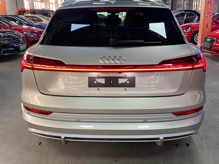 Audi e-tron 2021 2021款 50 quattro 臻选型