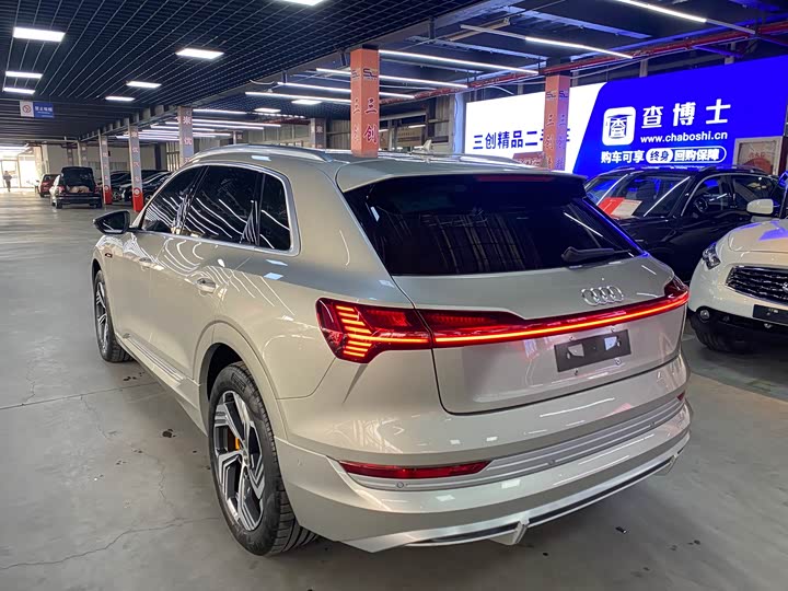 Audi e-tron 2021 2021款 50 quattro 臻选型