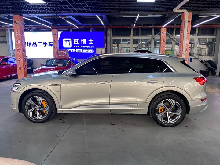 Audi e-tron 2021 2021款 50 quattro 臻选型