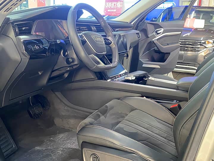 Audi e-tron 2021 2021款 50 quattro 臻选型