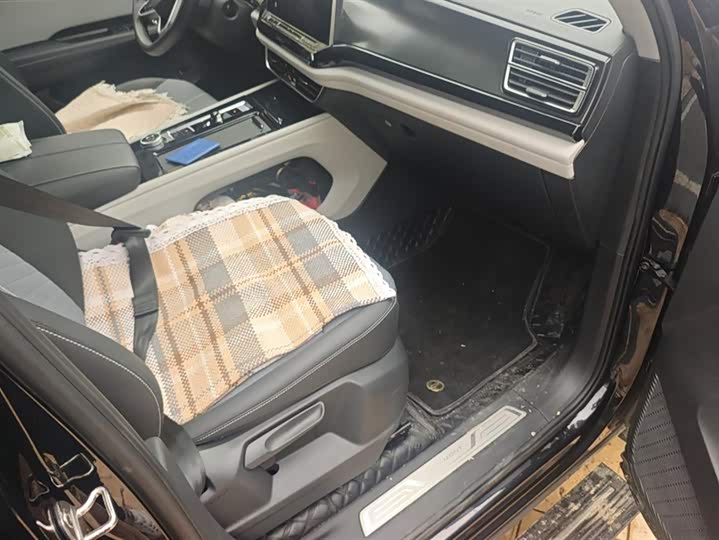 Volkswagen Teramont Pro 2024 2024款 380TSI 四驱龙腾版