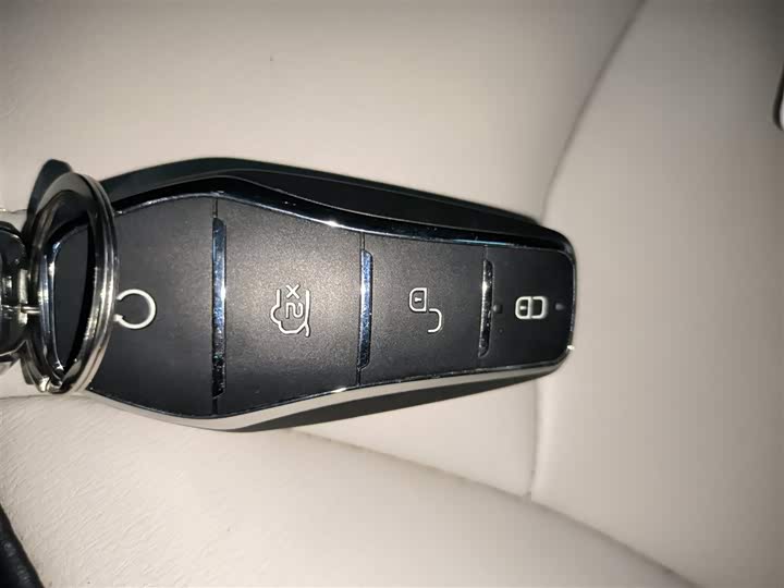 BYD Yuan Pro 2021 2021款 401KM 尊贵型