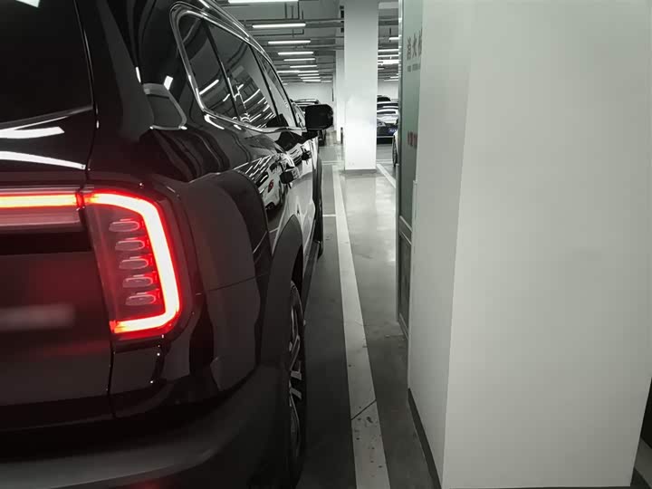 Haval Dargo 2024 2024款 1.5T DCT边牧版