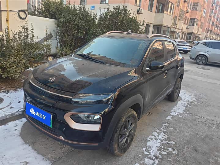 Dongfeng Nammi Nano EX1 2022 2022款 追风版 331KM 进阶型