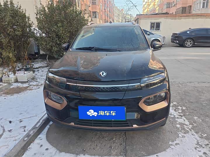 Dongfeng Nammi Nano EX1 2022 2022款 追风版 331KM 进阶型