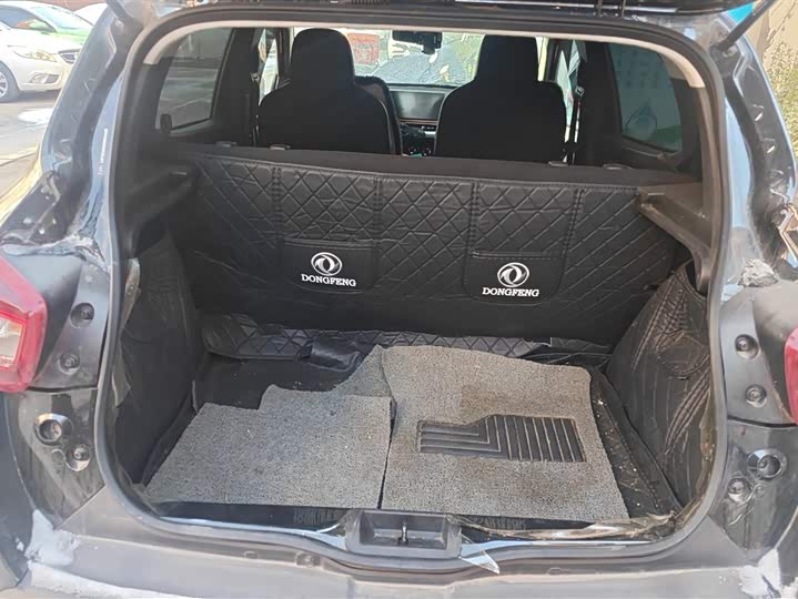 Dongfeng Nammi Nano EX1 2022 2022款 追风版 331KM 进阶型