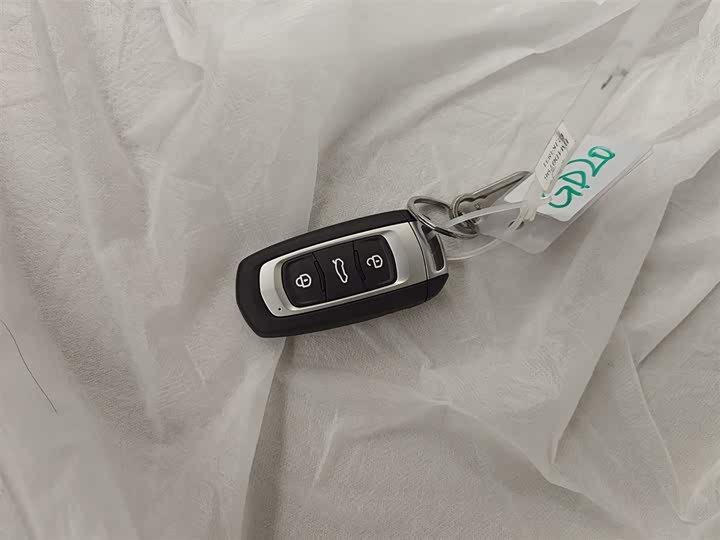 Geely Galaxy Panda Mini 2025 2025款 熊猫mini 210km 元气熊