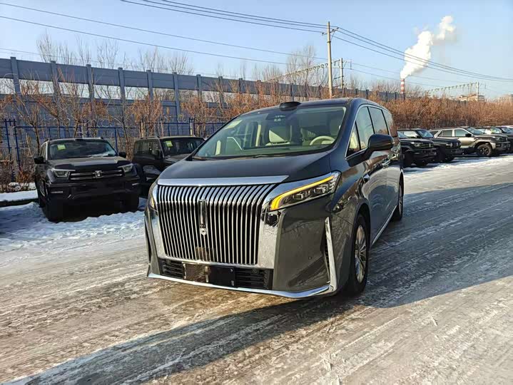 Wey Gaoshan 2025 2025款 四驱高山8