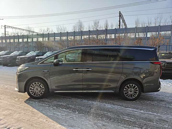 Wey Gaoshan 2025 2025款 四驱高山8