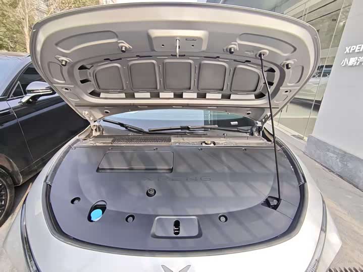 XPeng F57 2024 2024款 长续航 Max