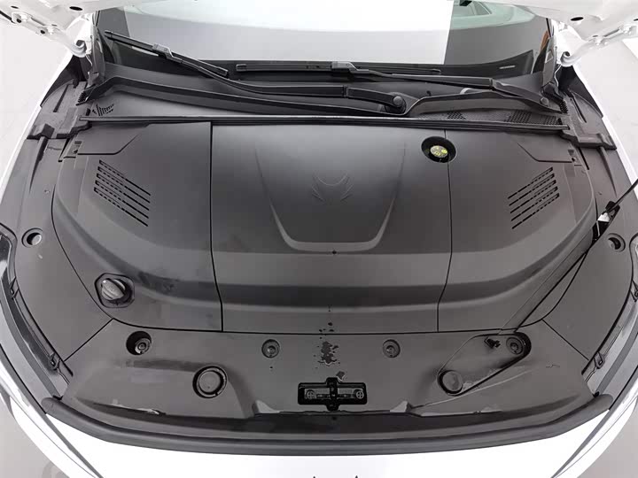 BAIC Arcfox Alpha S5 2024 2024款 708MAX 200kW