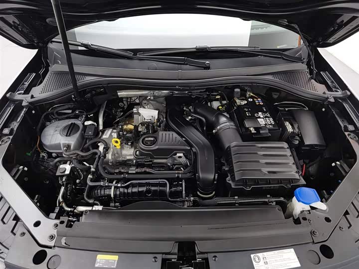 Volkswagen Tiguan L Pro 2025 2025款 出众款 300TSI 自动两驱龙腾版