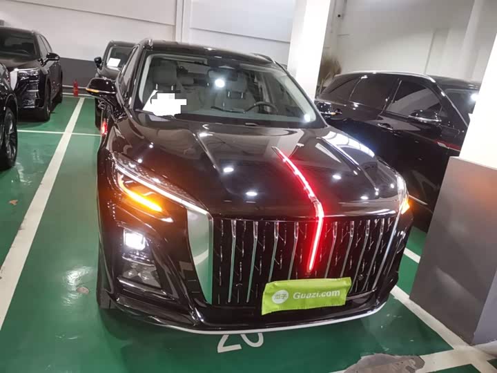 Hongqi HS3 Hybrid 2024 2024款 115km 劲为版