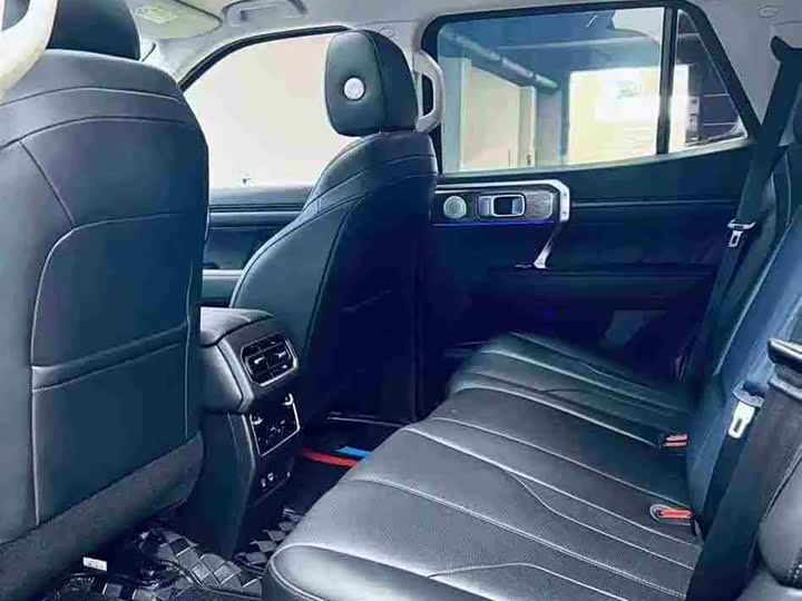 Tank 400 2025 2025款 2.0T 汽油版