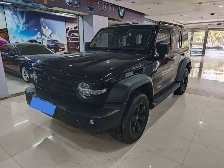 Tank 300 2024 2024款 2.0T 挑战者