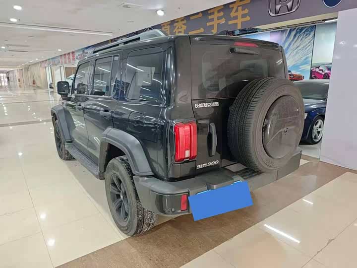 Tank 300 2024 2024款 2.0T 挑战者