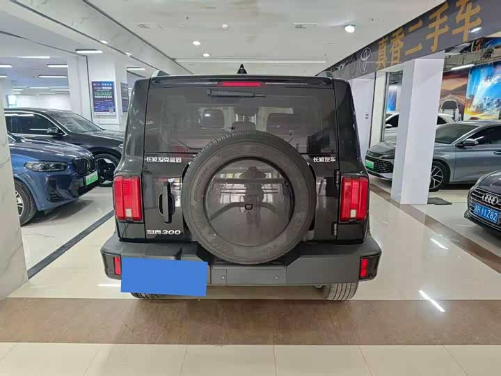 Tank 300 2024 2024款 2.0T 挑战者