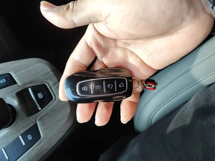 Ford Tourneo 2023 2023款 2.0T 自动致尊版