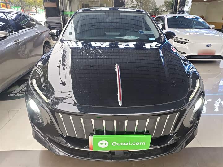 Hongqi E-QM5 2024 2024款 610km PLUS
