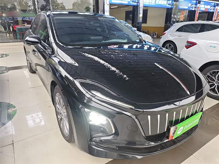 Hongqi E-QM5 2024 2024款 610km PLUS