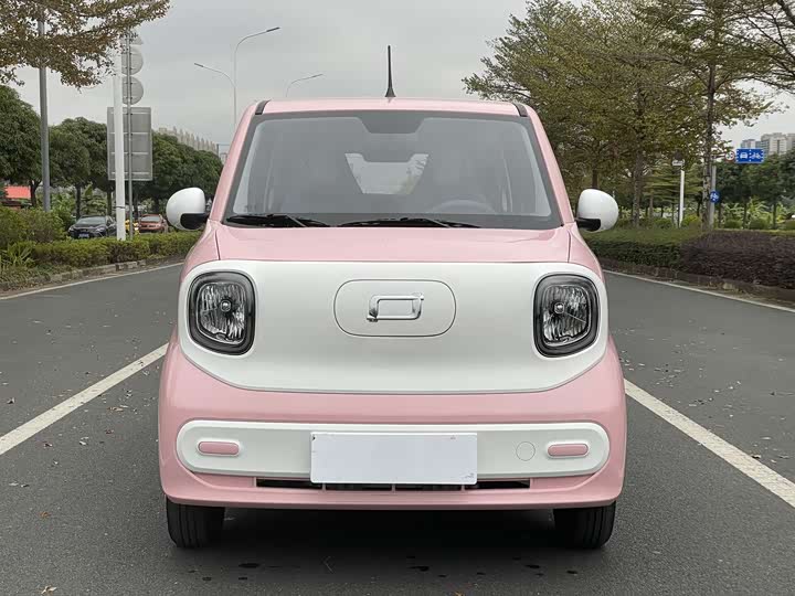 Bestune Pony 2025 2025款 222km 灵动马