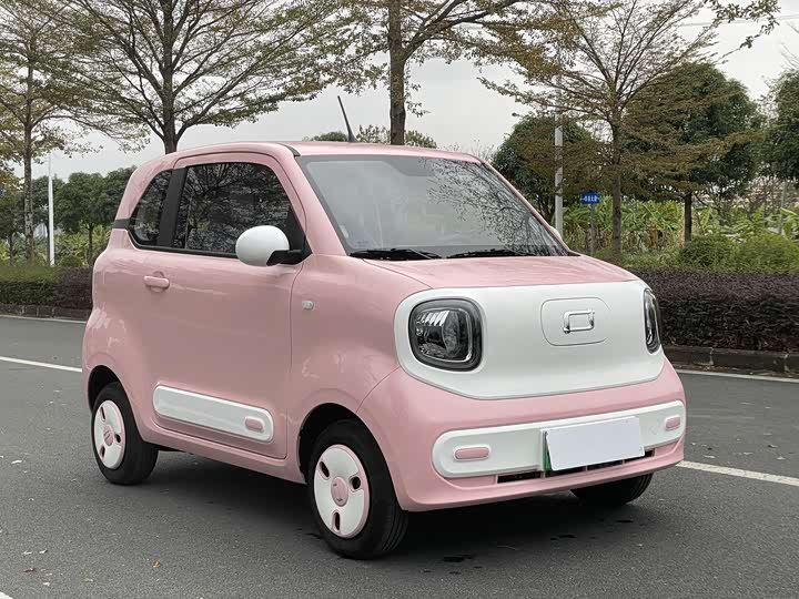 Bestune Pony 2025 2025款 222km 灵动马