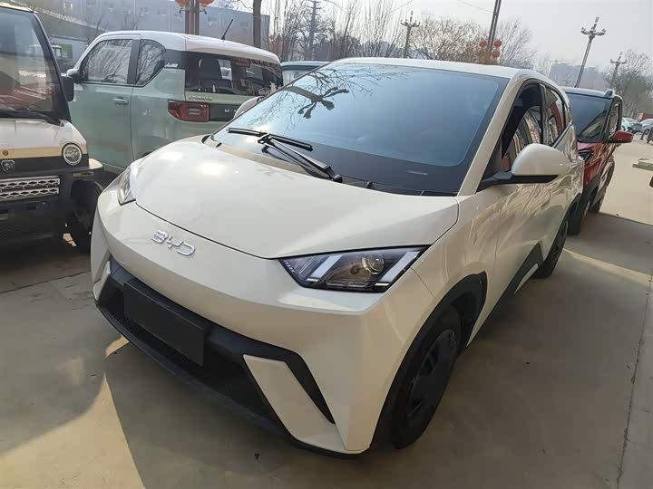 BYD Seagull 2025 2025款 305km 活力版