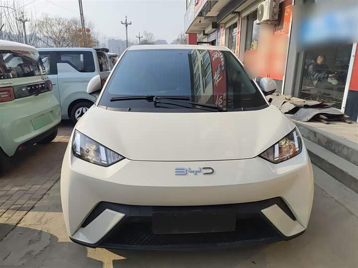 BYD Seagull 2025 2025款 305km 活力版