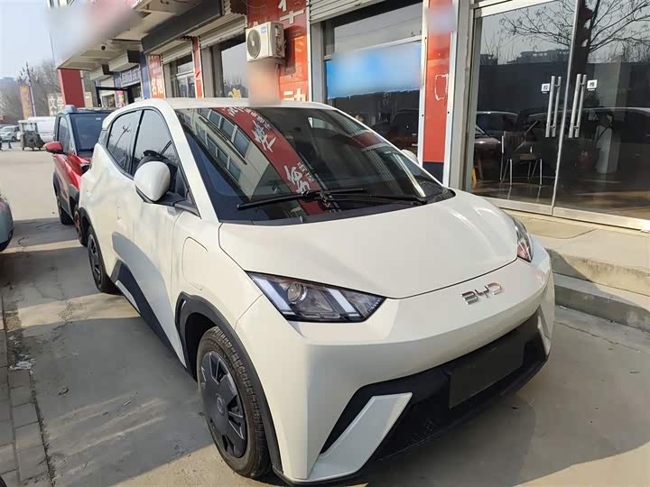 BYD Seagull 2025 2025款 305km 活力版