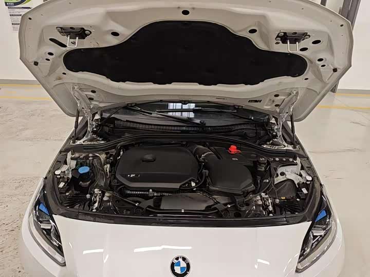 BMW 2 Series 2025 2025款 225L M运动套装